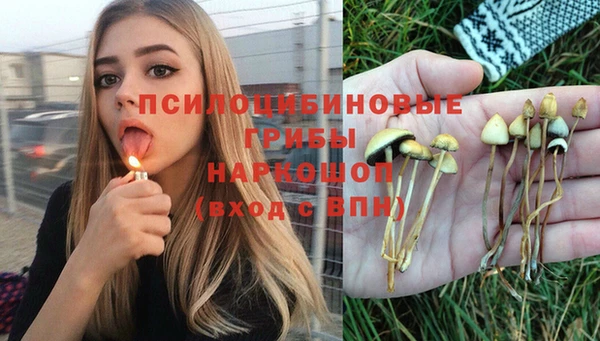 a pvp Алексин