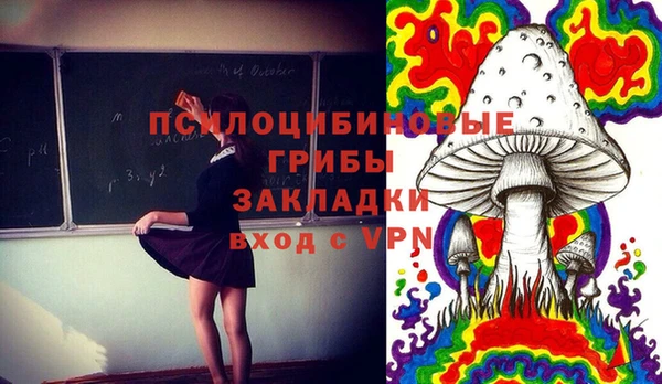 СК Алексеевка