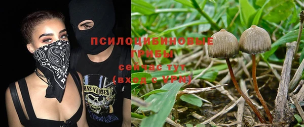 СК Алексеевка