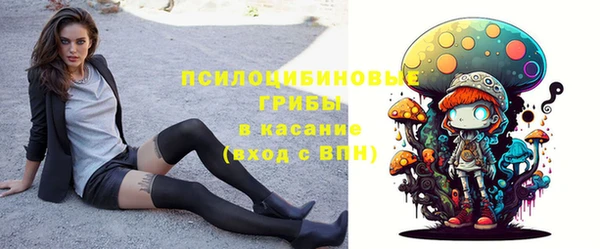 a pvp Алексин