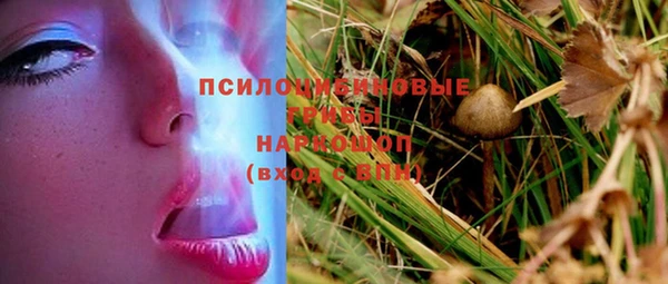 a pvp Алексин